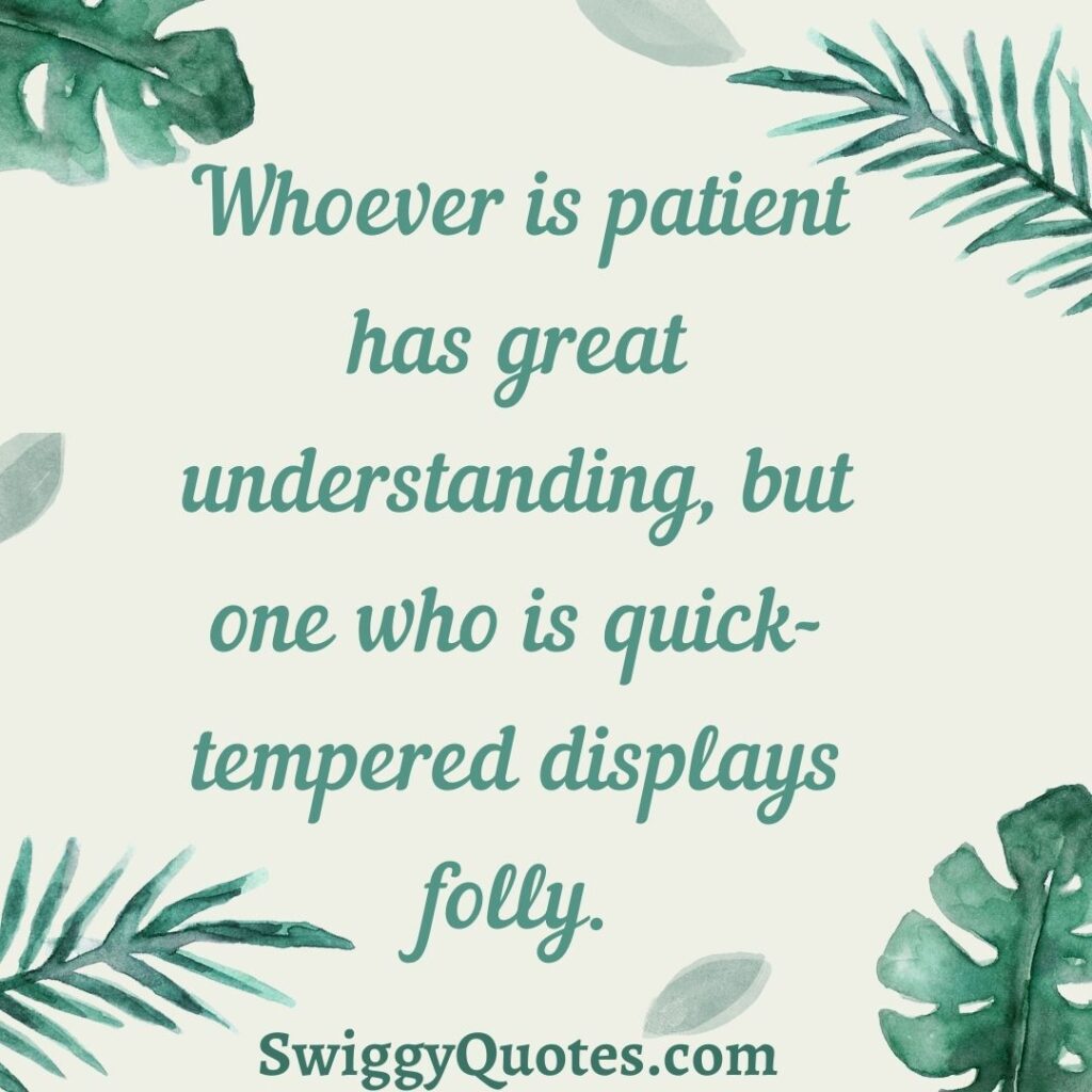 Whoever is patient has great understanding - quote about understanding and patience