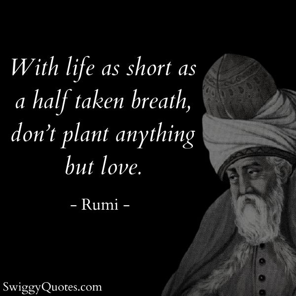 With life as short as a half taken breath - rumi quote on life