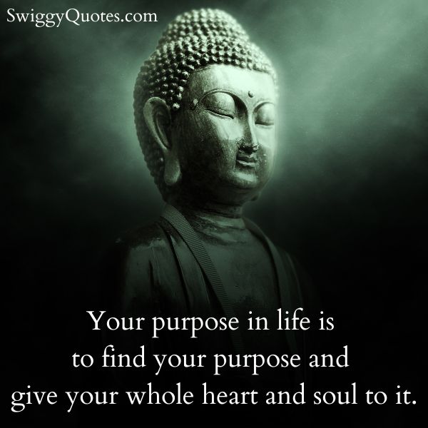 Your purpose in life is to find your purpose