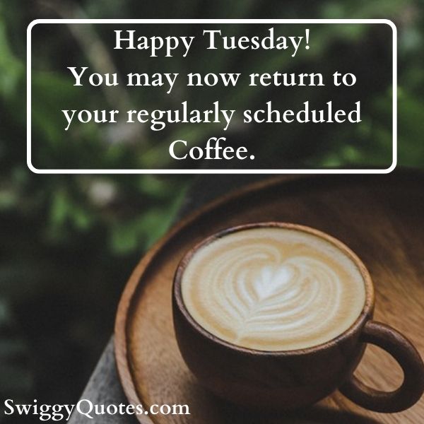Happy Tuesday You may now return to your regularly scheduled coffee