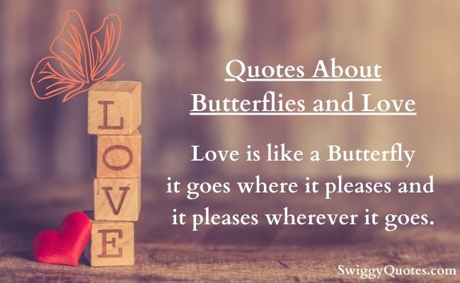 Quotes About Butterflies and Love with images